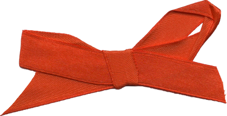 Scrapbook Cutout Red Ribbon Bow